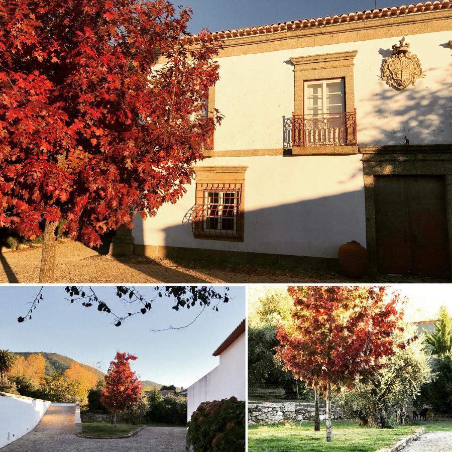 Quinta Da Porta - Solar De Vale De Prazeres Villa Bagian luar foto