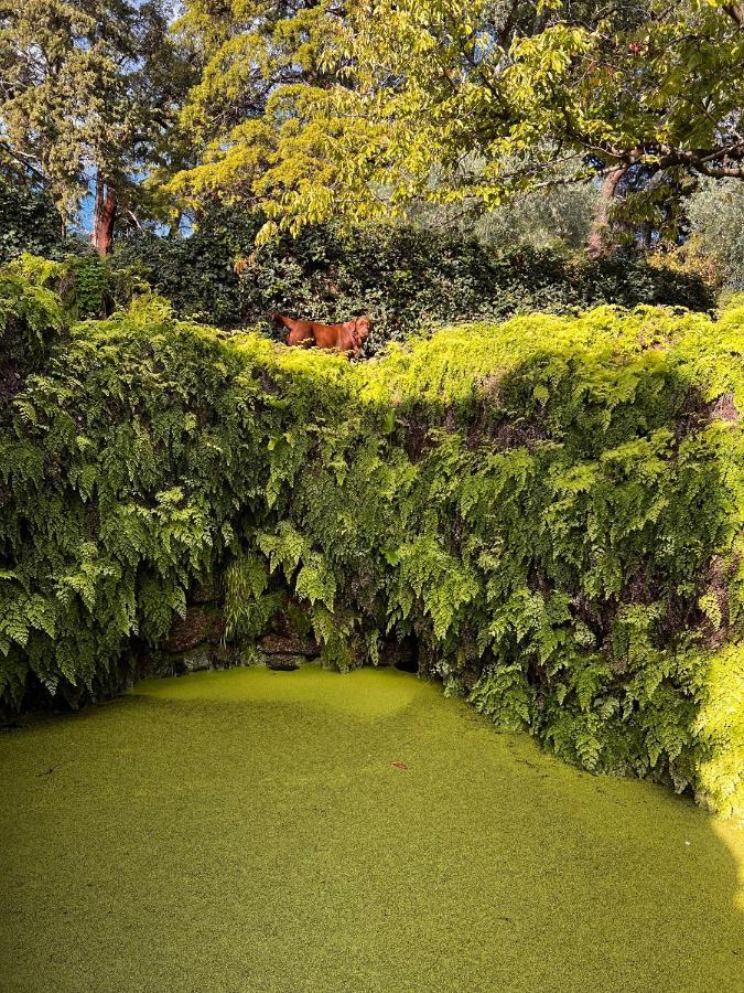 Quinta Da Porta - Solar De Vale De Prazeres Villa Bagian luar foto